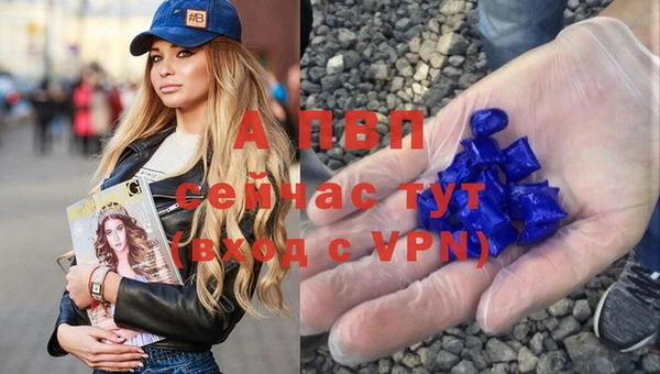мяу мяу мука Абаза