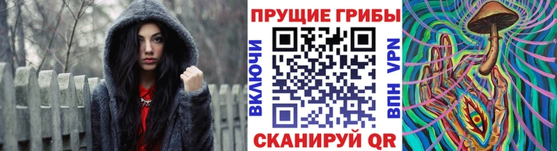 Псилоцибиновые грибы мицелий  где купить наркоту  Таштагол 